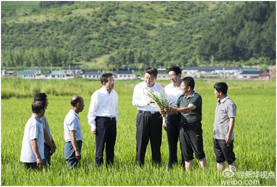 海利集團(tuán),長沙殺蟲劑,長沙光氣衍生物,長沙氨基酸保護(hù)劑,長沙鋰離子電池材料