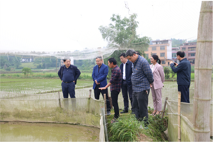 海利集團,長沙殺蟲劑,長沙光氣衍生物,長沙氨基酸保護劑,長沙鋰離子電池材料